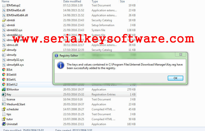 Download Manager With Serial Key